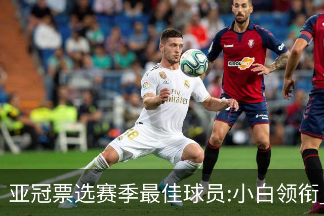 亚冠票选赛季最佳球员:小白领衔 奥古比埃拉上榜